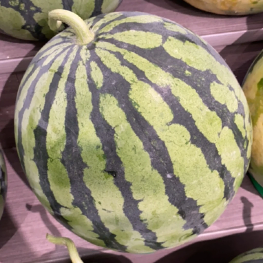 麒麟黑籽西瓜（约15斤到17斤)西瓜同城送四川省