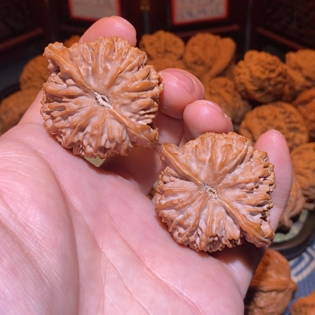 44尺 全品白茬 满天星
