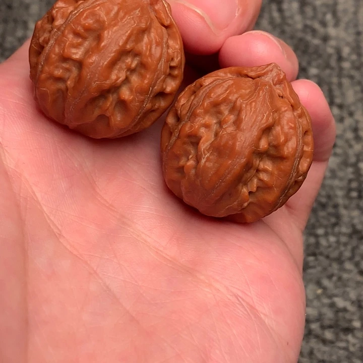 文玩核桃把件粗筋八棱。