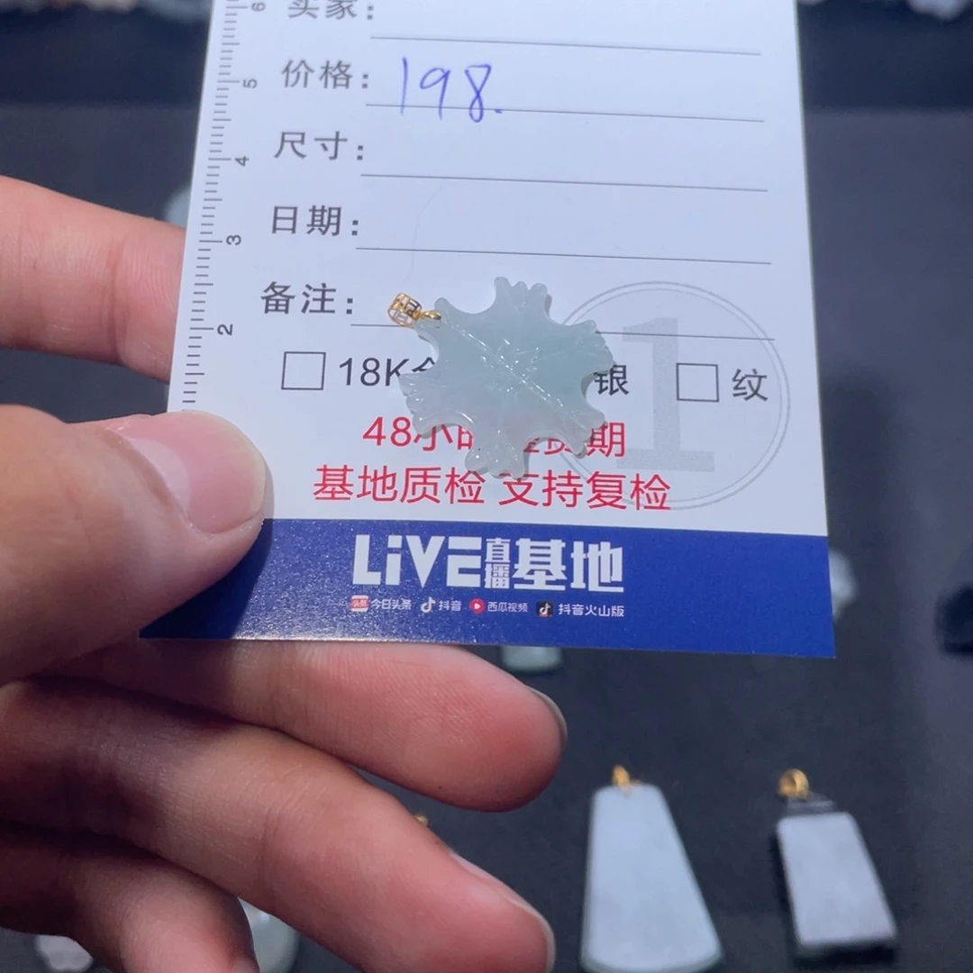 颈饰未镶嵌翡翠00017