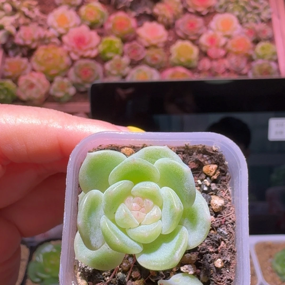 1财富福利哈哈哈哈哈
