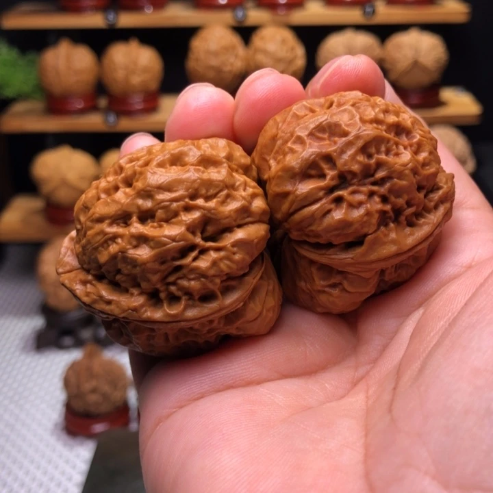【闪购商品】马蹄金蝉41