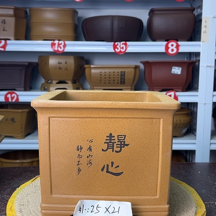 花盆紫砂你在一起