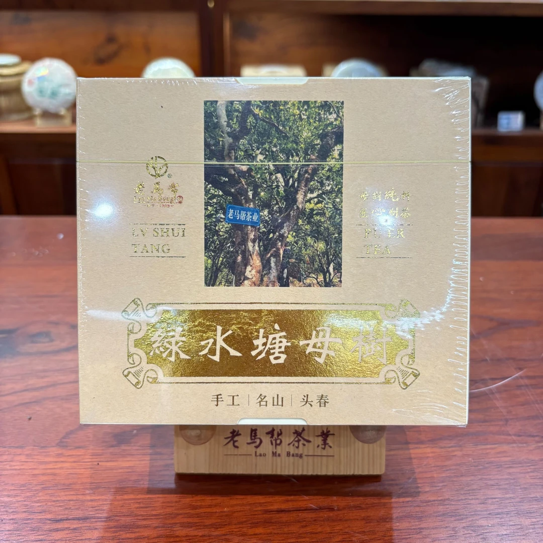 老马帮6.4 绿水塘母树 普洱古树生茶 龙珠