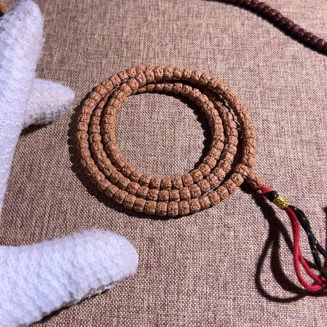 海***洋精工毕业6.5龙切佛手