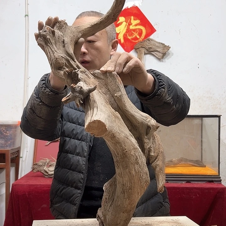 柏木长*波我们的生活是以