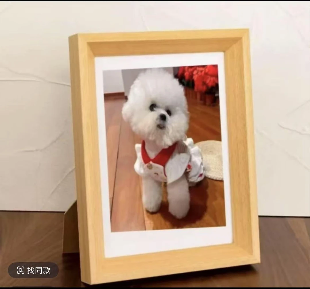 可爱风格宠物相册拍下即可选择