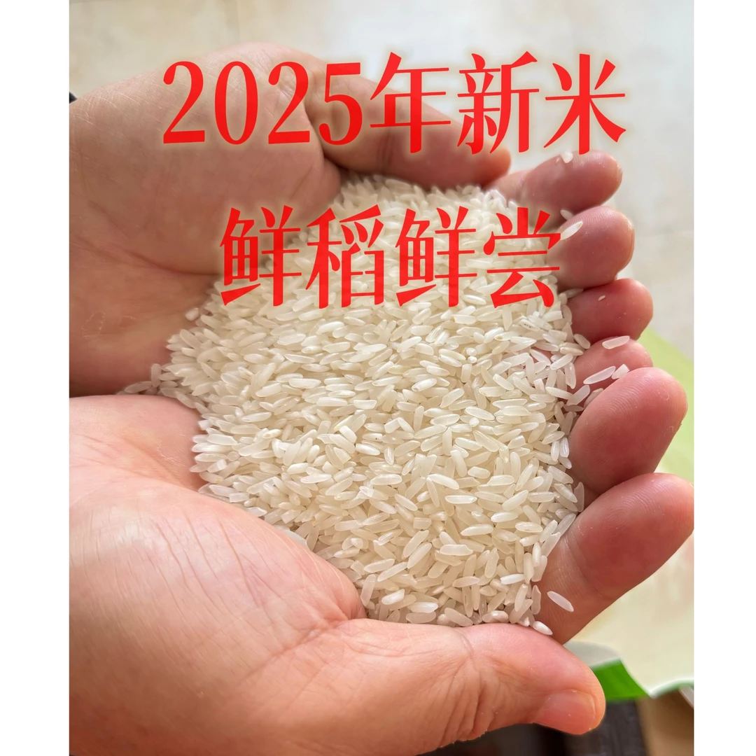【2025年新米达人专属】四川长粒香大米清香软糯煲仔饭、熬粥新米