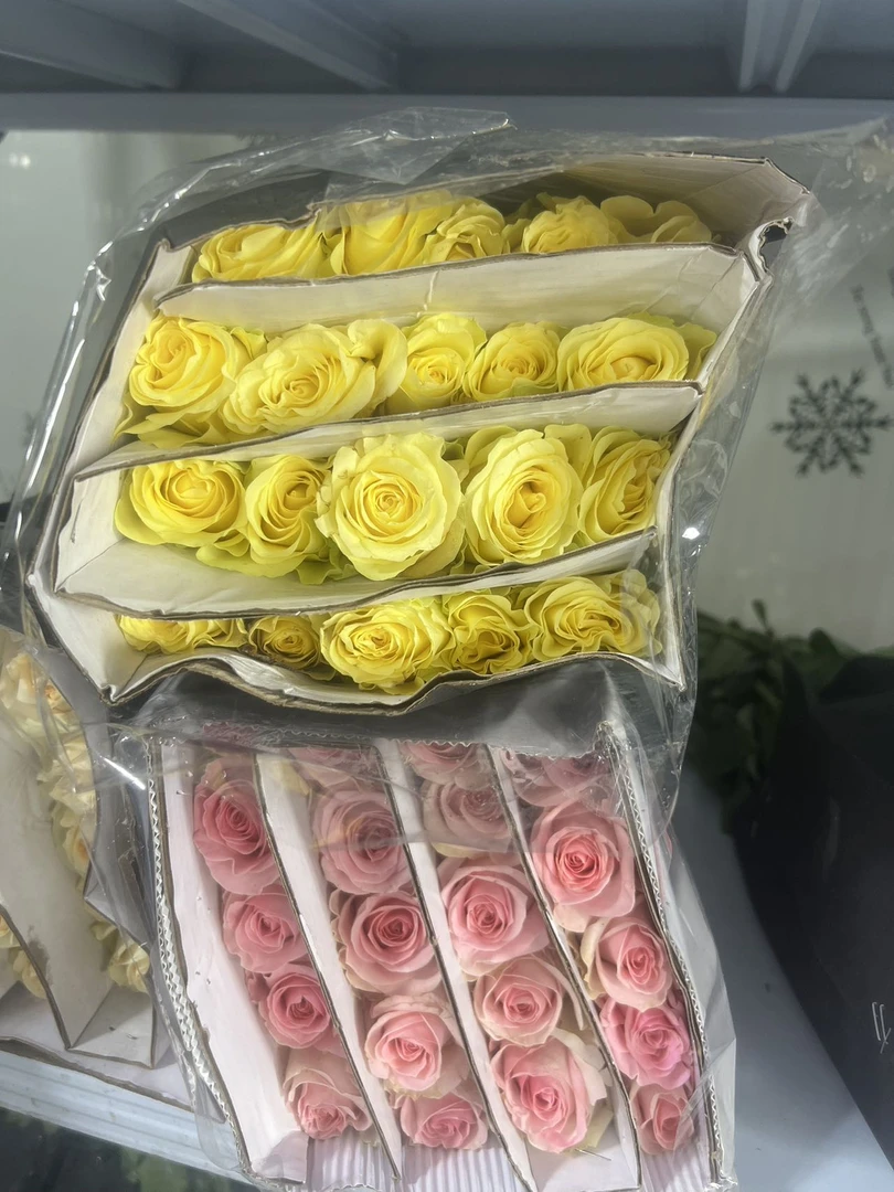 【沙滩桃子】黄玫瑰20枝+桃红雪山20枝（其中10枝不售后）+营养剂