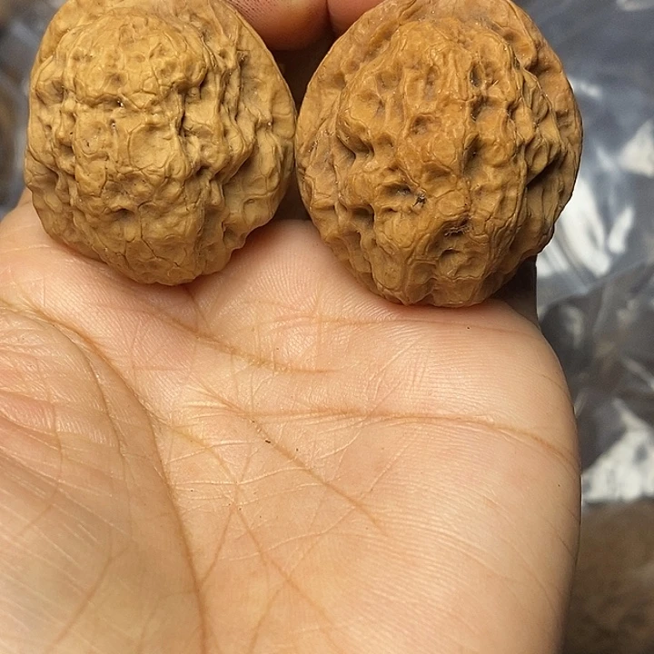 文玩核桃把件云南铁核桃68