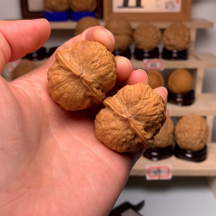 文玩核桃把件92金龟子35尺