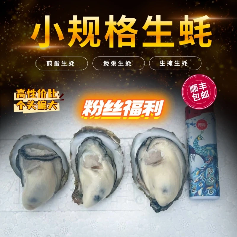 直播间样品蚝，可带壳、可开肉，大、中、小、福利蚝全部打包