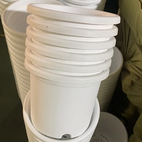 树脂四季3号6个无托白色