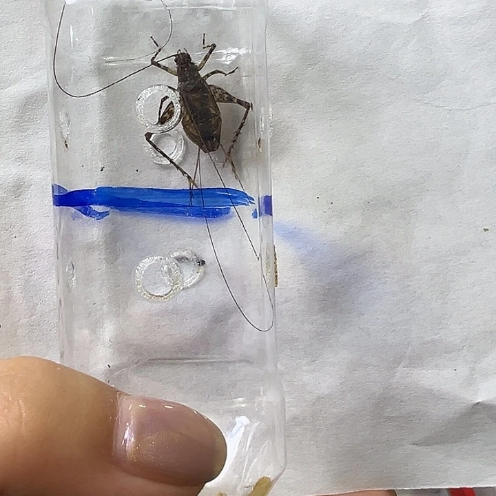 哈哈哈哈哈哈哈哈哈哈