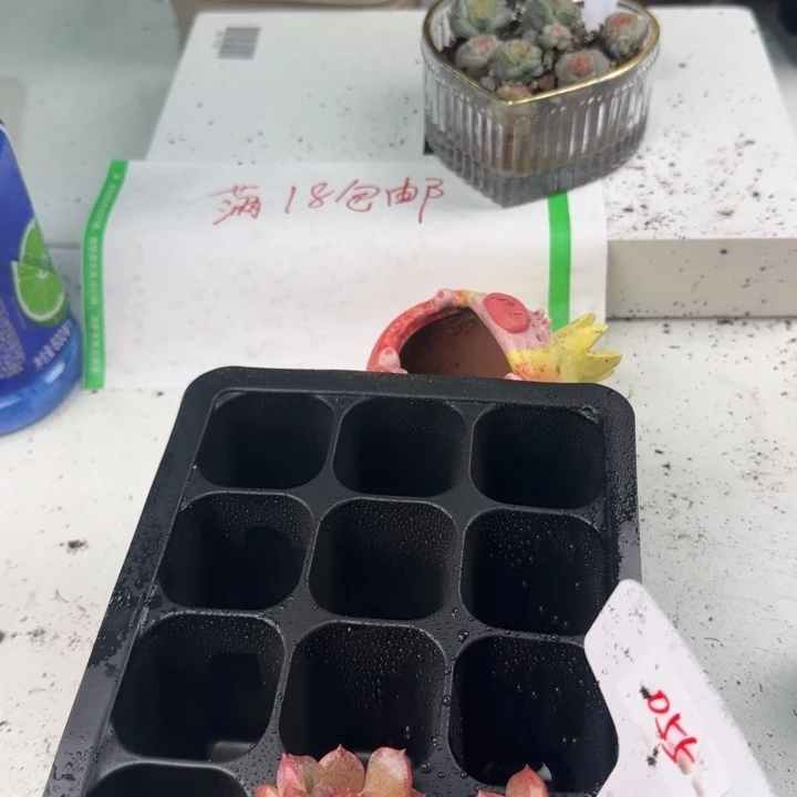 055超级无敌糖心000