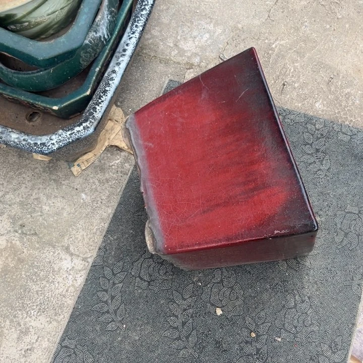 西**具我们都是好孩子哦我们家