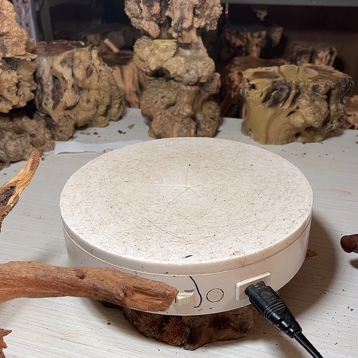 香榧木我是真的想去看看