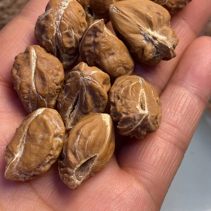 朝***子文玩核桃吊坠拿姐工艺55