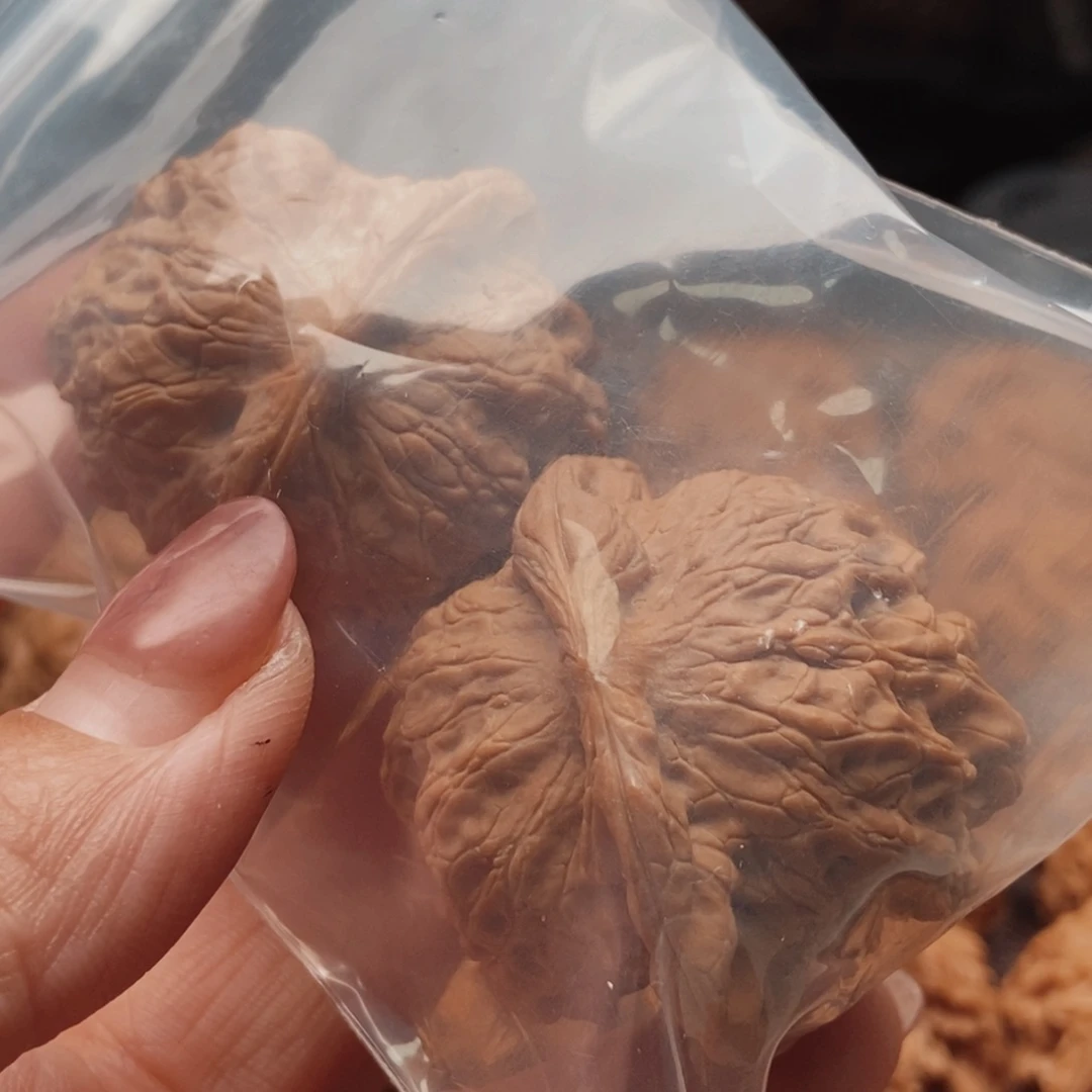 长***歌吊坠文玩核桃核桃核桃核桃核桃