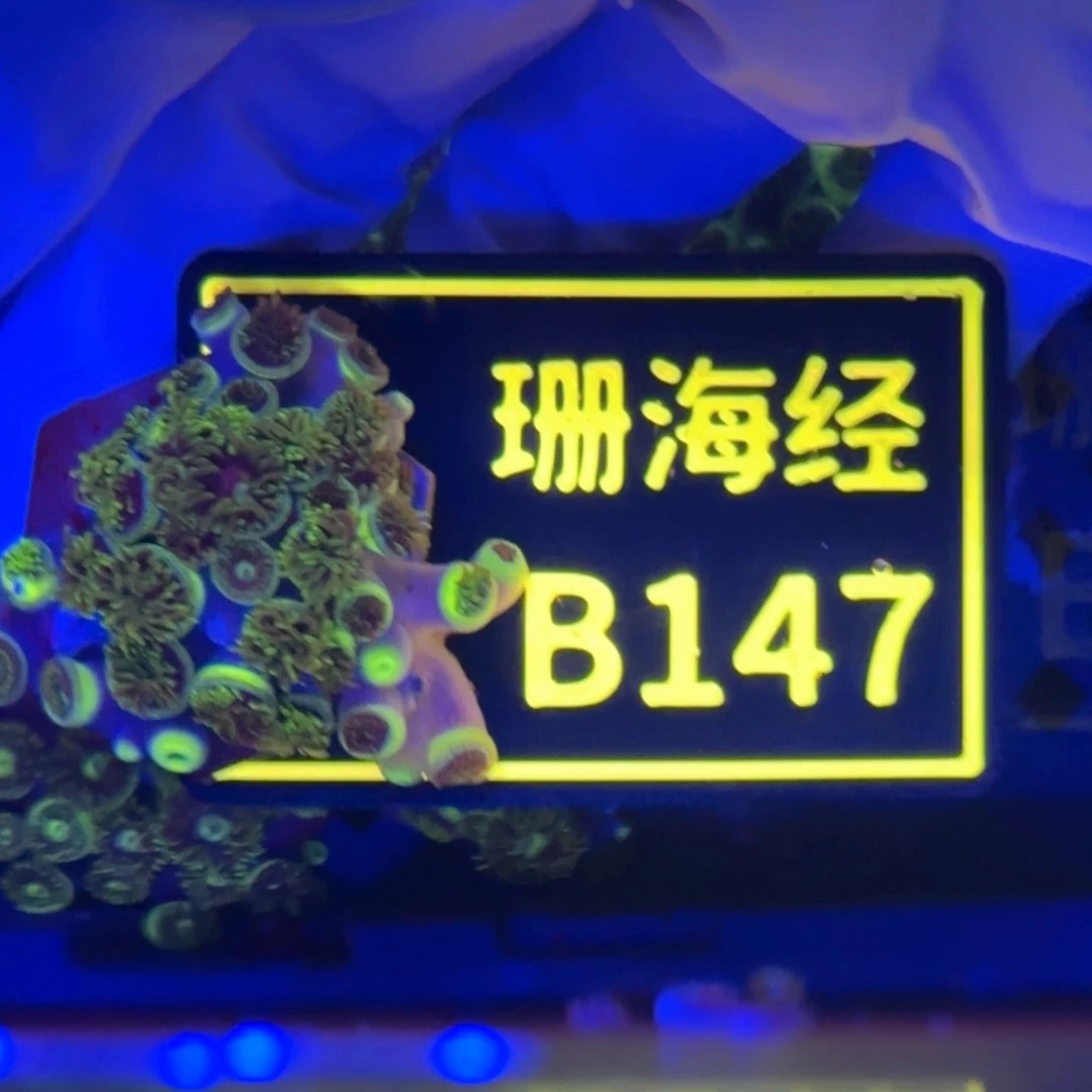 小***儿纽扣珊瑚又又不包邮纽扣B147