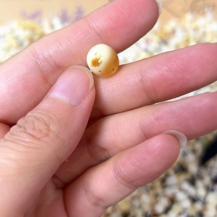 裸石蜜蜡未镶嵌9.6mm一个
