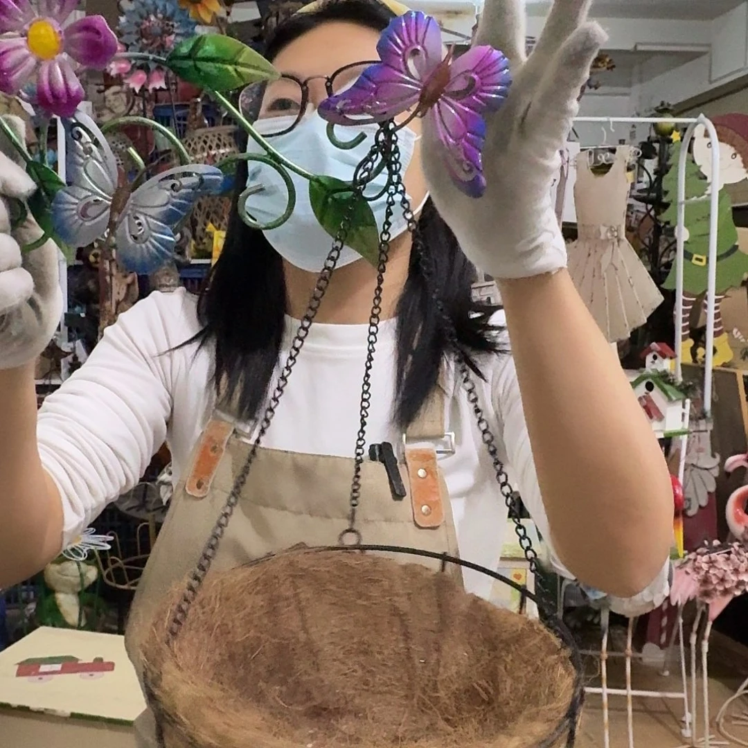 核桃木/黑胡桃（胡桃木）