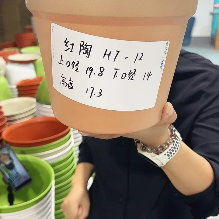 正品红陶口19.8高17卡其色无托6只