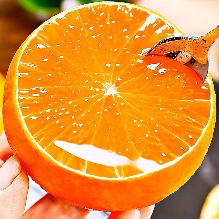 【果冻橙】爱媛果冻橙新鲜应季水果顺丰包邮