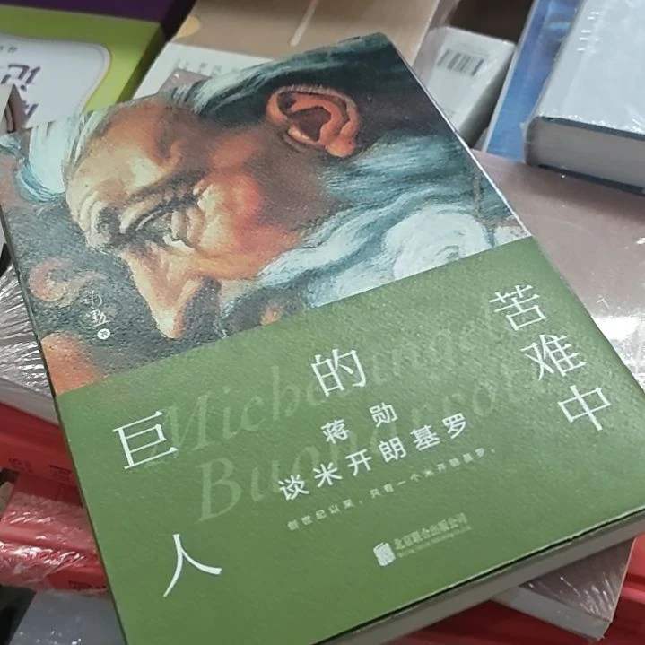 蒋勋巨人的苦难中谈米开朗基罗。