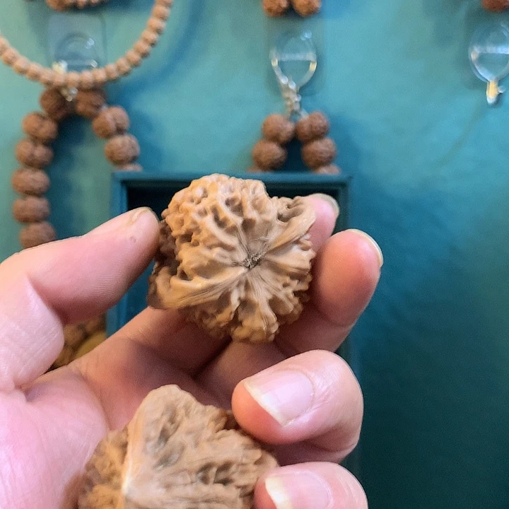 手串金刚菩提大*