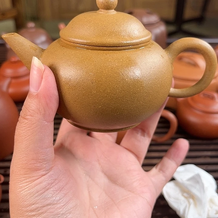 茶壶紫砂紫砂……………………