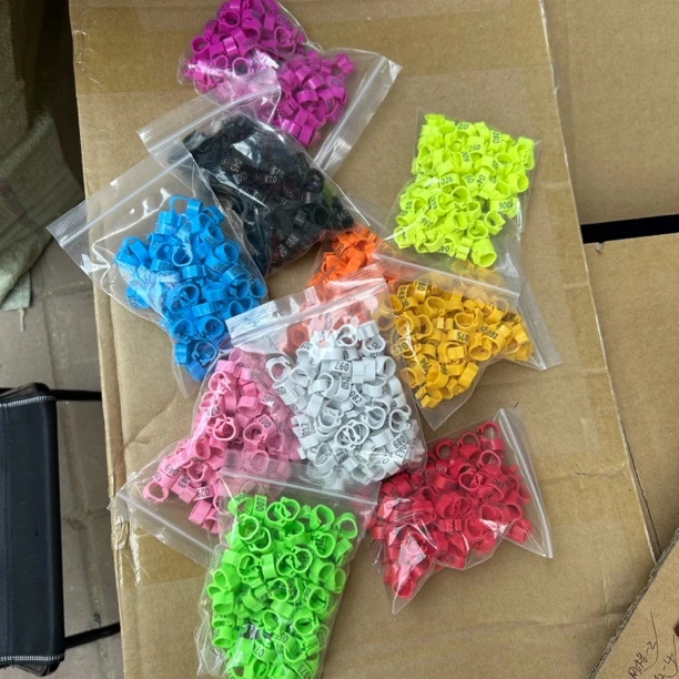 鸽子数字环识别环鸽子足环一包100个颜色随机发或者下单备注颜色