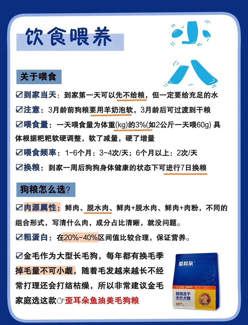 小柯带你挑选狗狗