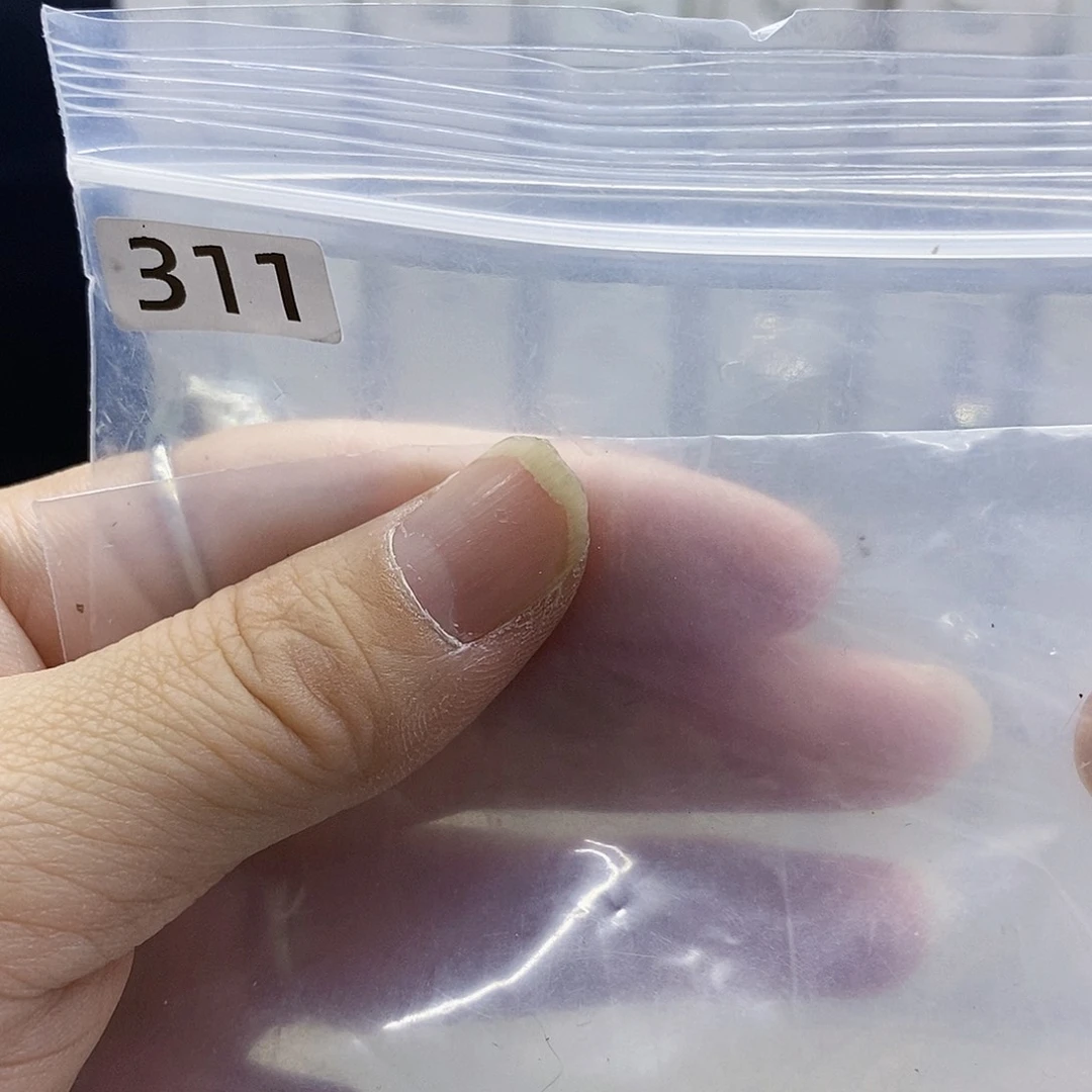 颈饰合金淡水珍珠