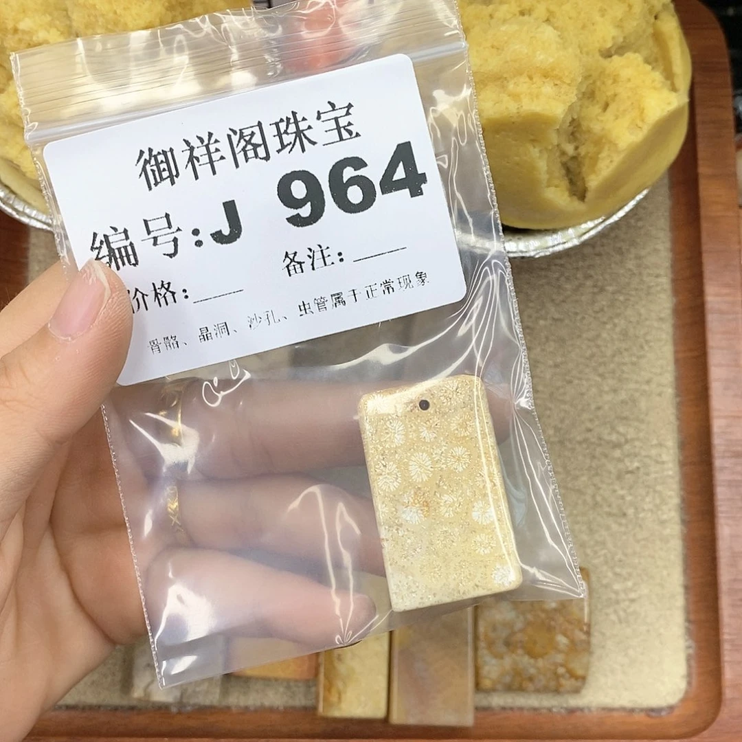 硅化珊瑚（珊瑚玉）颈饰未镶嵌ㅤ**