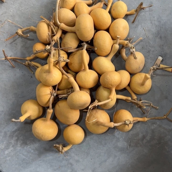 木浪**头32个5毛的独霸