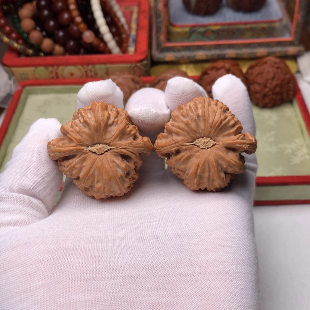 把件文玩核桃46尺闷尖白狮子文玩核桃