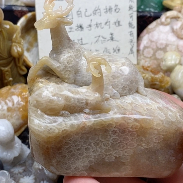 颈饰未镶嵌硅化珊瑚（珊瑚玉）