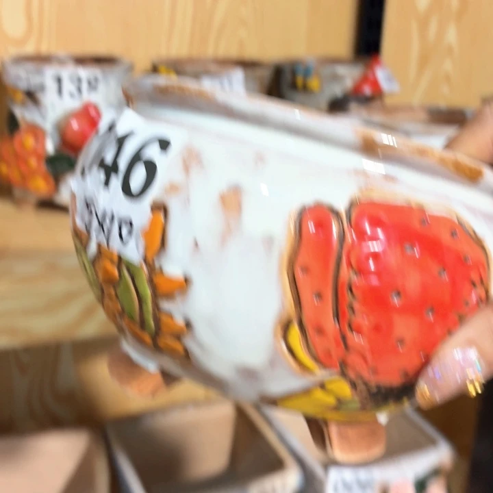 多肉花盆满15包邮