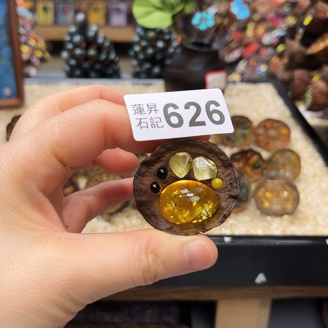 莞***然核桃木/黑胡桃（胡桃木）626