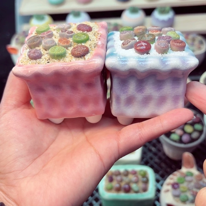 7020零下地区记得拍保温箱