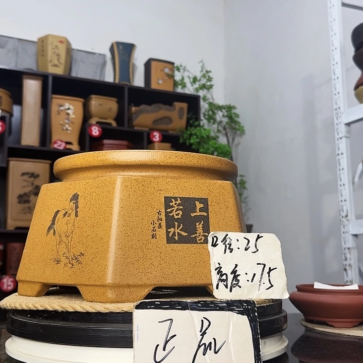紫砂花盆盆友记紫砂