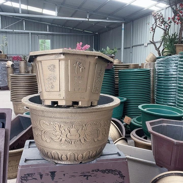 梅花照眼 依然旧风味