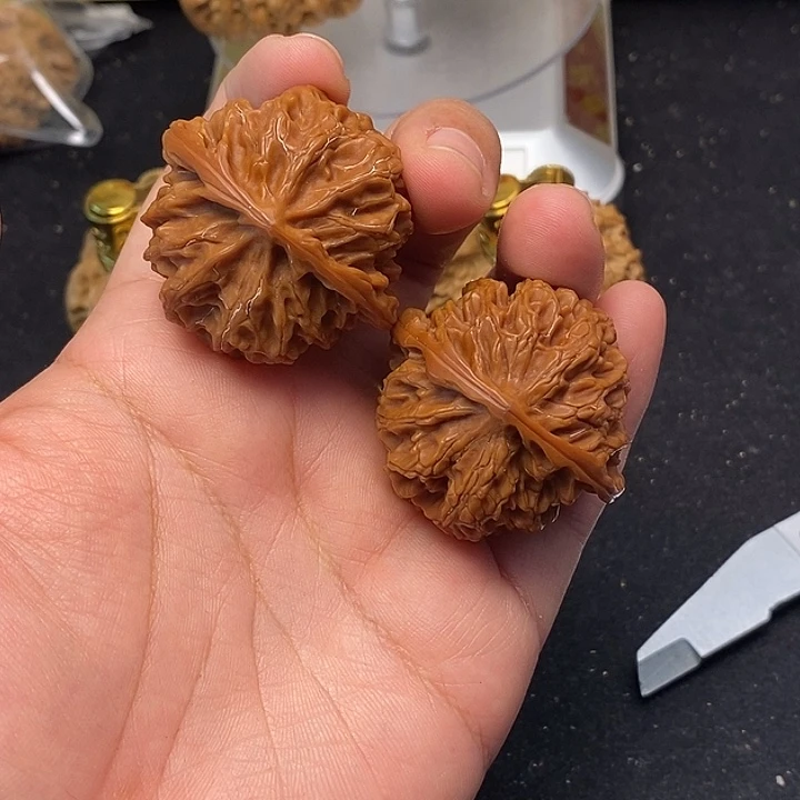 吊坠龙脊菩提苹果园