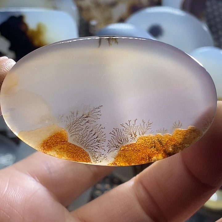 玛瑙/玉髓未镶嵌珠宝半成品9**3