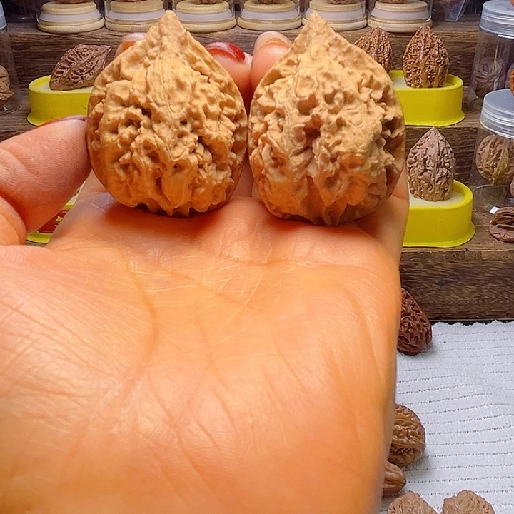 核桃13号车放漏漏漏