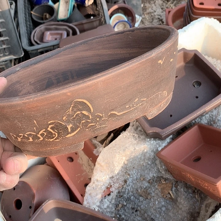 紫砂我要不明天要回家