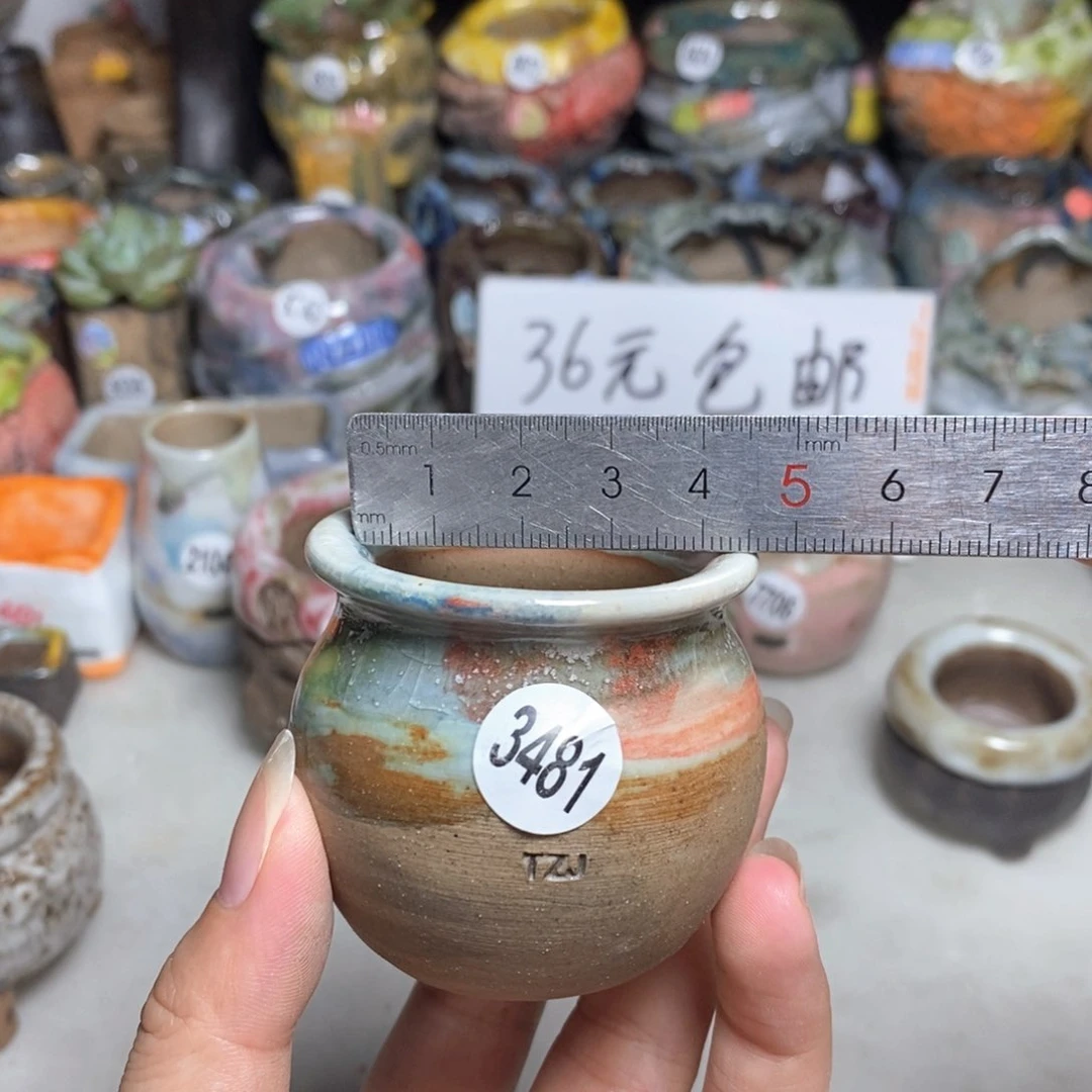 拍5送一个小礼物
