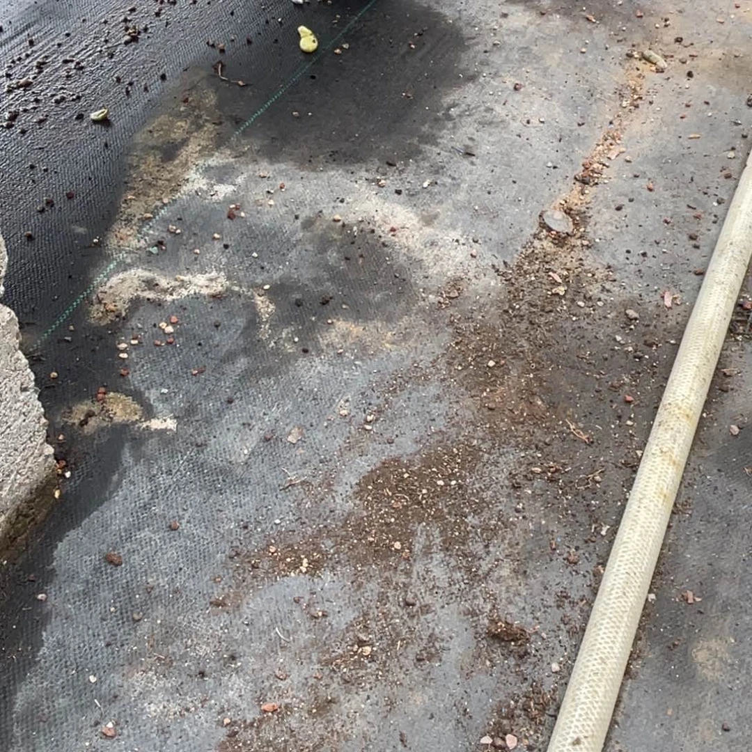 团*呀六个汤圆群生无砍分期付30