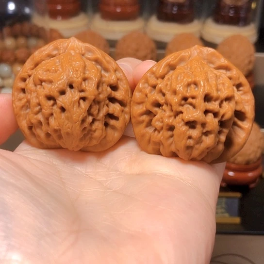 精品：金公子全品